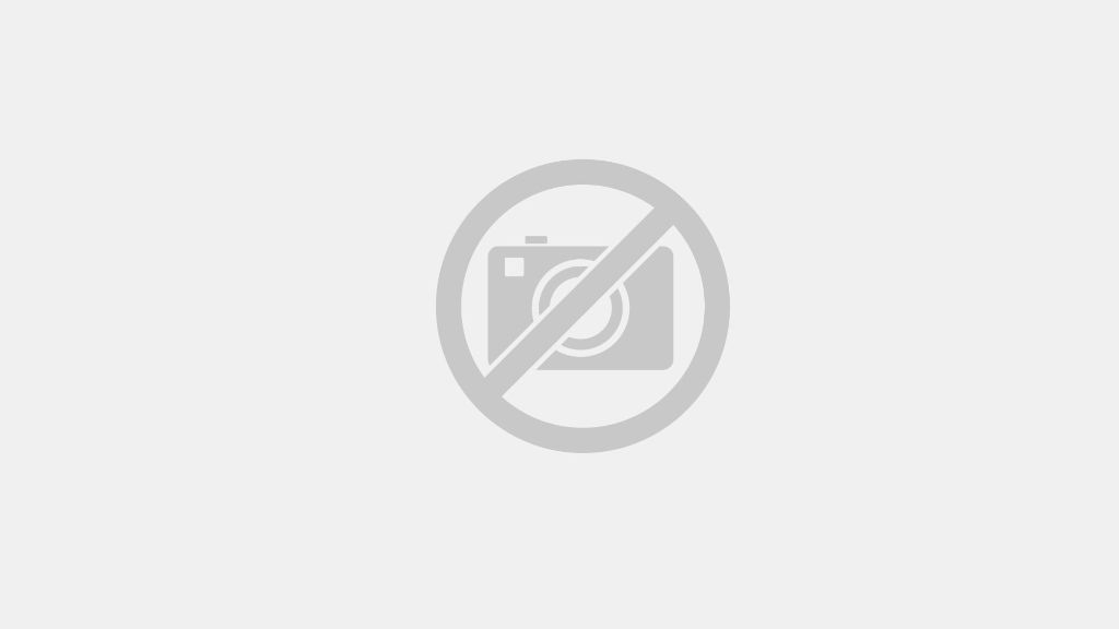 Single party vorarlberg
