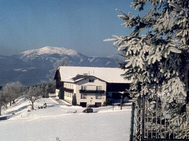 Lehnerhof Familie Tauchner, St. Corona am Wechsel 3